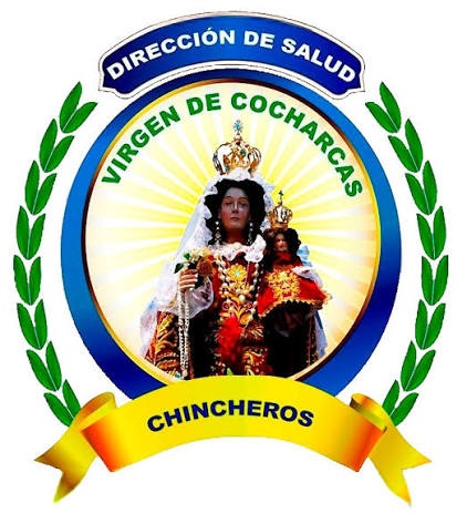 Logotipo de la Dirección de Salud Virgen de Cocharcas – Chincheros